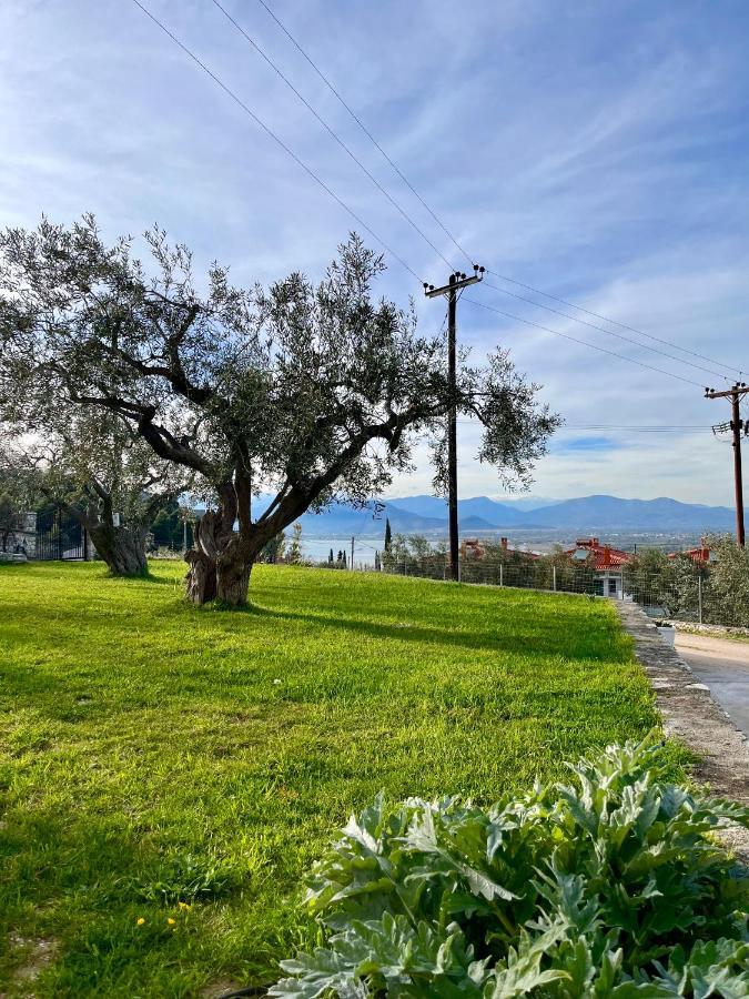 נאפפליו Ενtree Guest House Near Palamidi Castle מראה חיצוני תמונה